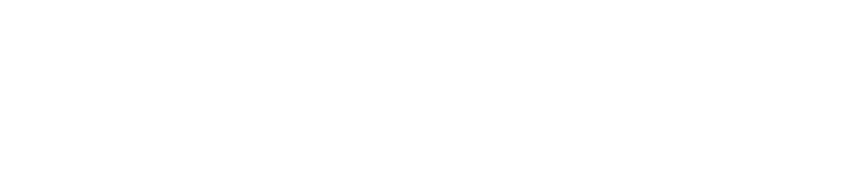 Egyptian Logistics